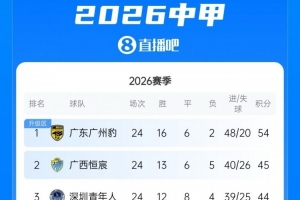 第二至第四差3分!中甲积分榜:广州豹9分优势领跑,广西恒宸次席